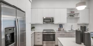 Revl Med Center Gallery 37