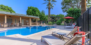 Oasis in the City Gallery 3