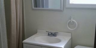 ***South Side Duplex Apartment For Rent * Pet Friendly * Walk to E. Carson St. * Available Now * Renovated *** Gallery 8