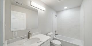 Beautiful newly remodeled 3 bd | 2 ba Available NOW! Located 10 min from Alamo Quarry! Gallery 5
