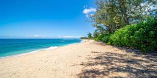 Tropical 4BR Gated Retreat w/ Sauna, Walk to Velzyland Beach Gallery 47