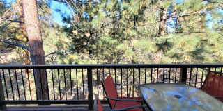 Mt. Bachelor Village Condo #207 Gallery 26