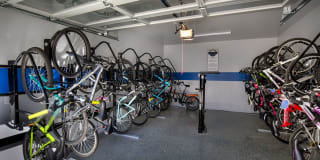 Lake Clearwater Gallery 43