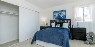 Park Sierra Gallery 26