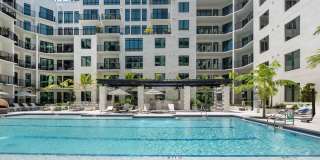 Aster & Links Gallery 15