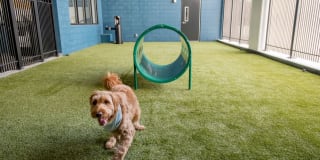 Avalon Towson Gallery 40