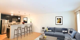 Marketplace at Fells Point Gallery 9