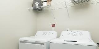 Vintage Johnson City Gallery 36