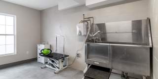 Sofi at Salem Station Gallery 20