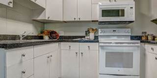 Bears Village Gallery 8