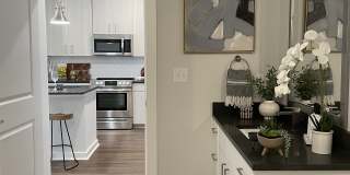 The Cannon Gallery 11