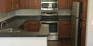 The Palms Gallery 13