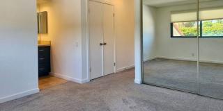 5151 Walnut Gallery 16