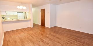 Casablanca West Gallery 31