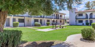 Aster on University Gallery 24