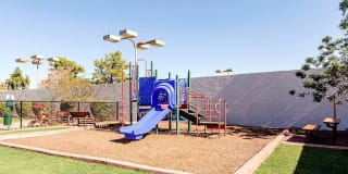 Portola North Phoenix Gallery 3