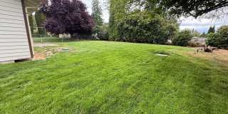 Tracyton Home! 2 Bedrooms with Large Fenced Yard Tracyton Home! 2 Bedrooms with Large Fenced Yard Gallery 15