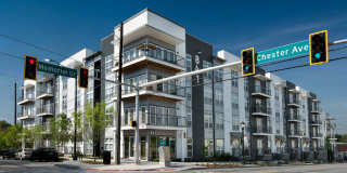 841 Memorial Gallery 21
