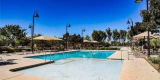 3535 Montepulciano Lane Gallery 44