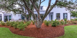 Arboretum West Gallery 11