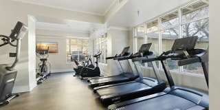 Siena on Sonterra Gallery 19