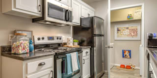 Palmetto Grove Palmetto Grove Gallery 18