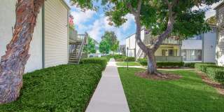 Canyon Village Apartment Homes Gallery 2