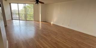 3100 N Pine Island Road Gallery 4