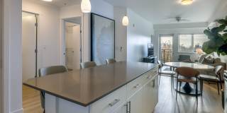 Urbana Urbana Gallery 5