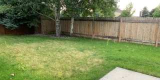 3 Bedroom | 2 Bathroom Single-Family Home Gallery 18