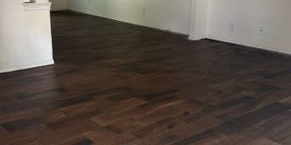 Royal Oaks Gallery 8