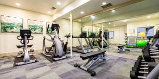 El Paseo Apartment Homes Gallery 13