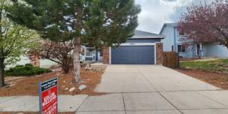 Amazing Two-Story Stetson Hills Home Gallery 3