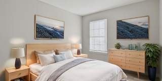 12313 TIERRA ARENA Drive Gallery 16
