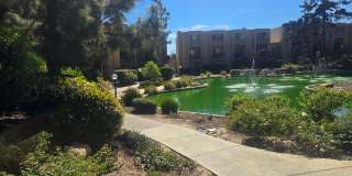 1 Bed 1 Bath Close to Lake Murray Gallery 21