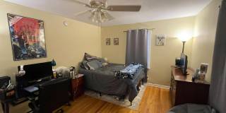 Lovely studio so close to Franklin! Lovely studio so close to Franklin! Gallery 1