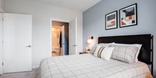 EDE Gallery 50