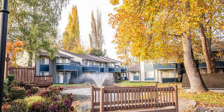 The Lakes Gallery 18