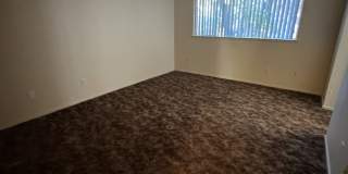 2745 Canyon Creek Dr Gallery 12