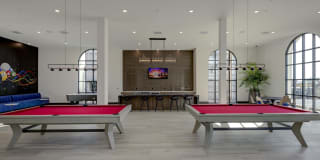 Vineyards Gallery 41