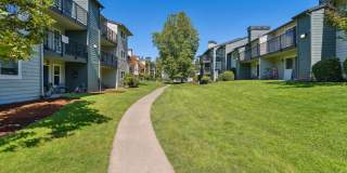 Madison Sammamish Gallery 28