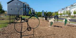 Affinity at Oak Hills Gallery 36