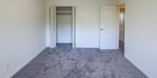 RVP Gallery 120