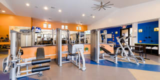 Liv Avenida Liv Avenida Gallery 1