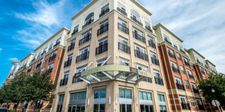 800 Carlyle Gallery 1