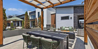 The Jaxon Gallery 19