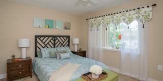 The Encore Gallery 11