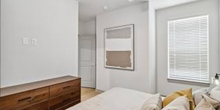 The Belle at the Lamar Gallery 36