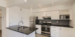 Rise Biltmore Gallery 28