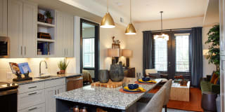 The Asher The Asher Gallery 3